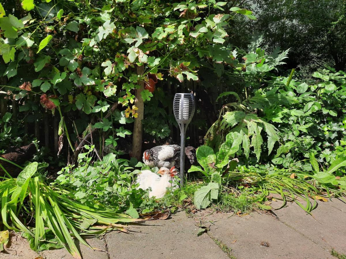 De Akker, Unieke Overnachting In Pipowagens! Ommeren Esterno foto